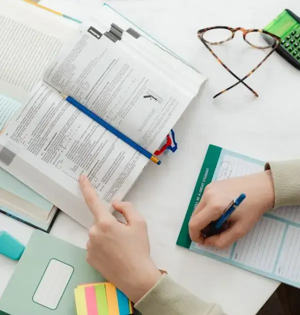 Visa consultation advisor